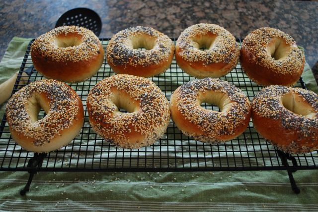 bagels 4